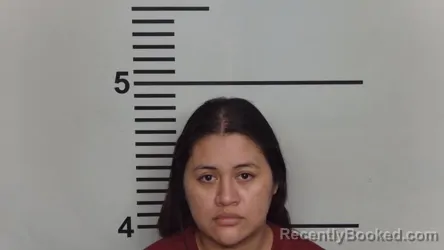 Mugshot of MILDRED CARCAMO booked in Jefferson County, Kentucky on March 25, 2026