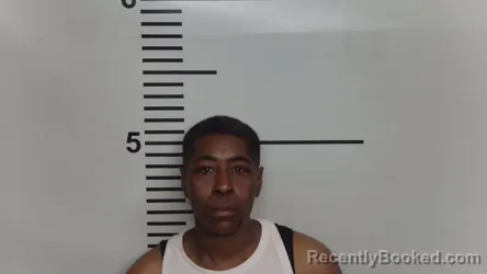 Mugshot of CHRISTA PERRY booked in Jefferson County, Kentucky on March 26, 2026