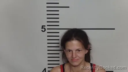 Mugshot of JAMIE L PIERCE booked in Jefferson County, Kentucky on March 27, 2026