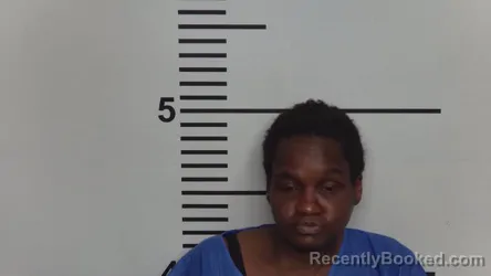 Mugshot of CHIZVETA L STEPHENSON booked in Jefferson County, Kentucky on March 27, 2026