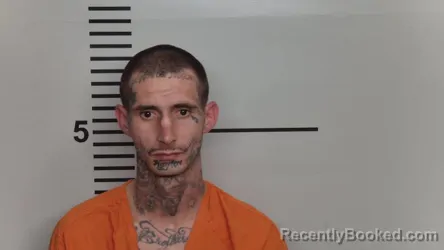 Mugshot of WILLIAM COTTON booked in Jefferson County, Kentucky on March 28, 2026