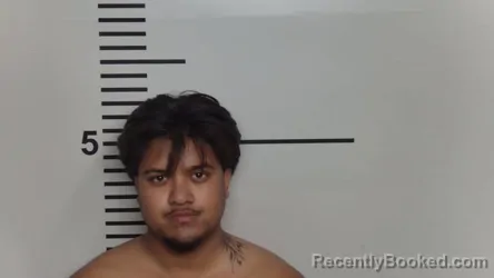 Mugshot of SAFAL BISWA booked in Jefferson County, Kentucky on March 28, 2026