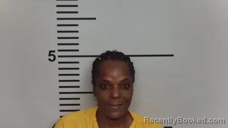 Mugshot of SHATONDA R MORRIS booked in Jefferson County, Kentucky on March 29, 2026