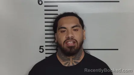 Mugshot of DUSTIN NGUYEN booked in Jefferson County, Kentucky on March 31, 2026