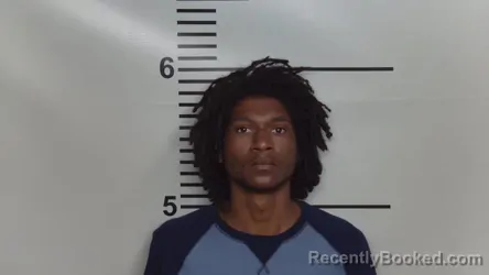 Mugshot of JASON LEVINE