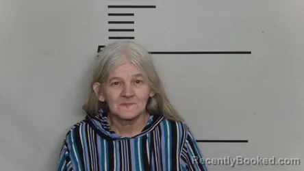 Mugshot of BRENDA S FRANK