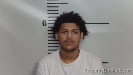 Mugshot of JERMAINE LEE BRACEY