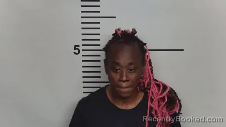 Mugshot of JESSICA D GOLDSMITH