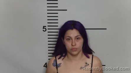 Mugshot of DANIELA LARREINAGA RUIZ