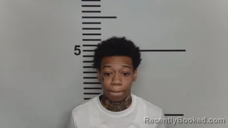 Mugshot of AALISHEE D SMITH