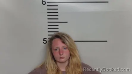 Mugshot of BRANDI LEWIS
