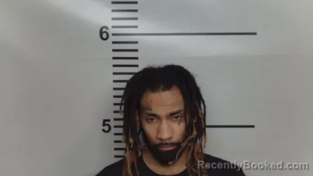 Mugshot of PETER J WHITE