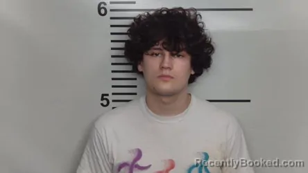 Mugshot of LUKE A WATKINS