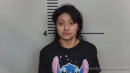 Mugshot of Elizabeth Perez