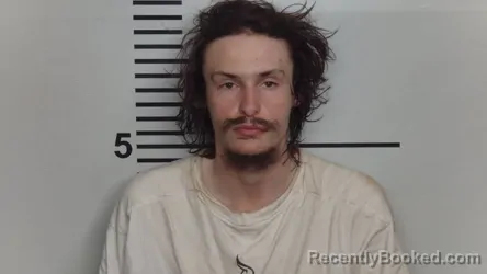 Mugshot of Jevin Mclaughlin