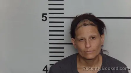 Mugshot of JESSICA ROSE JANI booked in Jefferson County, Kentucky on June 2, 2026