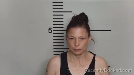 Mugshot of BRITTANY NOBLETT booked in Jefferson County, Kentucky on June 12, 2026
