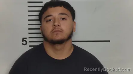 Mugshot of Tyler T Holstein