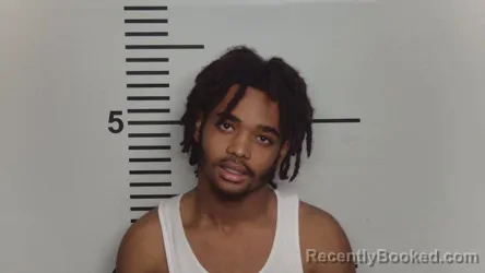 Mugshot of Joseph P Mcnealey
