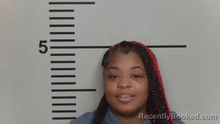 Mugshot of Destiny D Nelson booked in Jefferson County, Kentucky on August 2, 2026