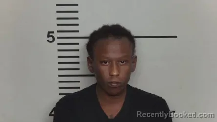 Mugshot of MALIKA GATEWOOD booked in Jefferson County, Kentucky on August 4, 2026