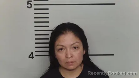 Mugshot of Maria Figueroa booked in Jefferson County, Kentucky on August 8, 2026