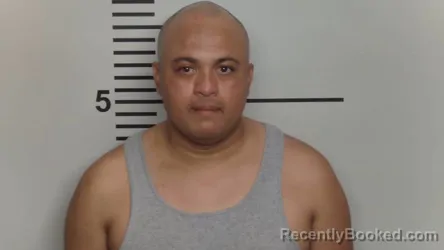 Mugshot of Jachson Jose Bolivar Gallardo booked in Jefferson County, Kentucky on August 11, 2026