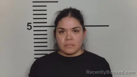 Mugshot of Silvina Cruz Rangel booked in Jefferson County, Kentucky on August 12, 2026