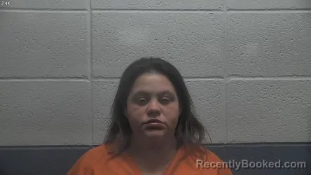 Mugshot of AMANDA ROSE ADKINS booked in Jessamine County, Kentucky on April 29, 2026