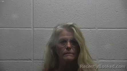 Mugshot of ANNE JOHNSON LEECH booked in Jessamine County, Kentucky on June 17, 2026