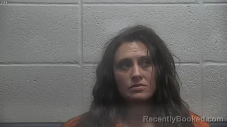 Mugshot of Alisha Willis booked in Jessamine County, Kentucky on October 23, 2026