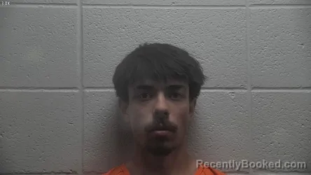 Mugshot of BRAYDEN DELFIN booked in Jessamine County, Kentucky on April 25, 2026