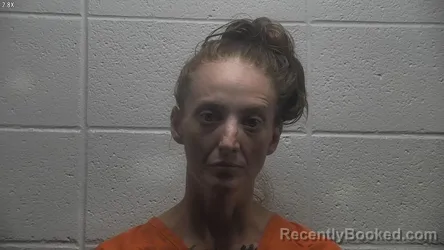 Mugshot of Brittany Davis booked in Jessamine County, Kentucky on August 9, 2026