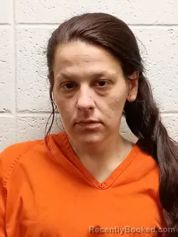 Mugshot of BRANDI LYNN HAWLEY booked in Jessamine County, Kentucky on March 9, 2026