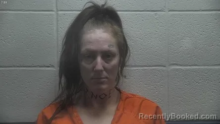 Mugshot of BRITTNEY MORGAN SMITH booked in Jessamine County, Kentucky on May 9, 2026