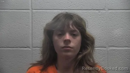 Mugshot of CAITLIN MICHELLE ANDERSON booked in Jessamine County, Kentucky on July 14, 2026