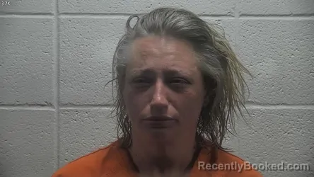Mugshot of CRYSTAL L POTTER booked in Jessamine County, Kentucky on June 8, 2026