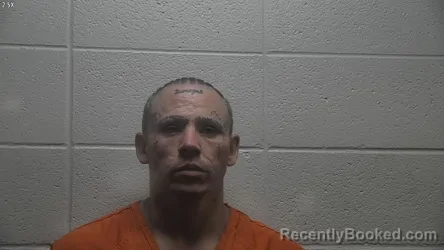 Mugshot of CHEROKEE WILLIAMS booked in Jessamine County, Kentucky on June 4, 2026