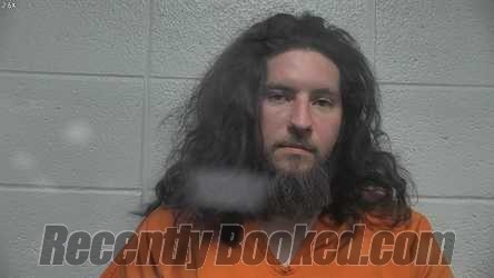 Mugshot of DAVID BRANSON