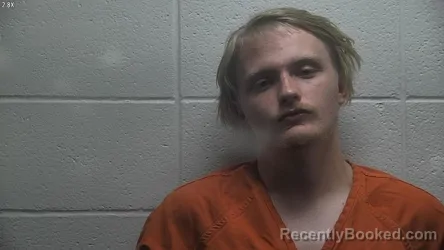 Mugshot of DILLION BRADLEE WOMBLES booked in Jessamine County, Kentucky on June 17, 2026