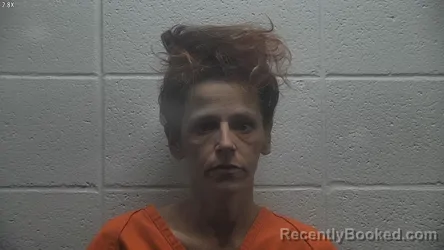 Mugshot of DORALLISSIA CHERYL WILLIAMS booked in Jessamine County, Kentucky on May 8, 2026
