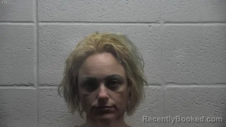 Mugshot of ELENA MARIA JOHNSON