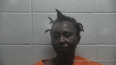 Mugshot of Isatu J Fayiah booked in Jessamine County, Kentucky on August 30, 2026