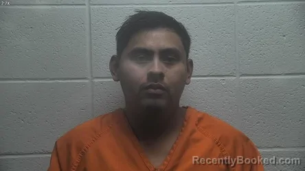 Mugshot of JOSUE HERNANDEZ-MAURICIO