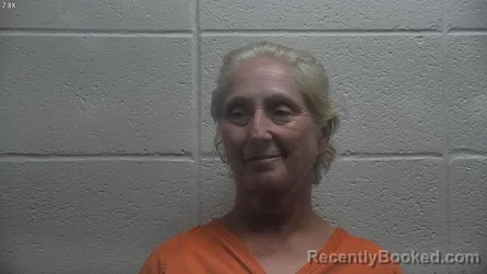 Mugshot of JAMMIE L SISSON booked in Jessamine County, Kentucky on July 6, 2026
