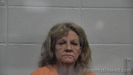Mugshot of KIMBERLY DERICKSON