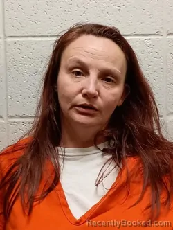 Mugshot of KELLY BETH HEFLIN