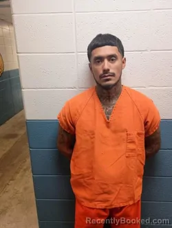 Mugshot of LUIS GALICIA