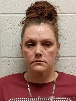 Mugshot of LAKRISHA MICHELLE RAMSEY booked in Jessamine County, Kentucky on April 15, 2026