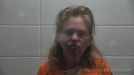 Mugshot of MARY E BOYCE booked in Jessamine County, Kentucky on July 12, 2026